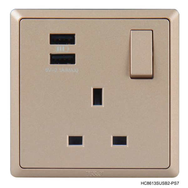 Normal Single Socket with 2USB Ports - Champagne In Colour