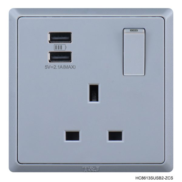 Normal Single Socket with 2USB Ports - Grey In Colour