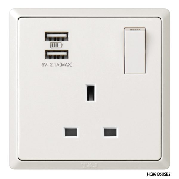 Normal Single Socket with 2USB Ports - White In Colour