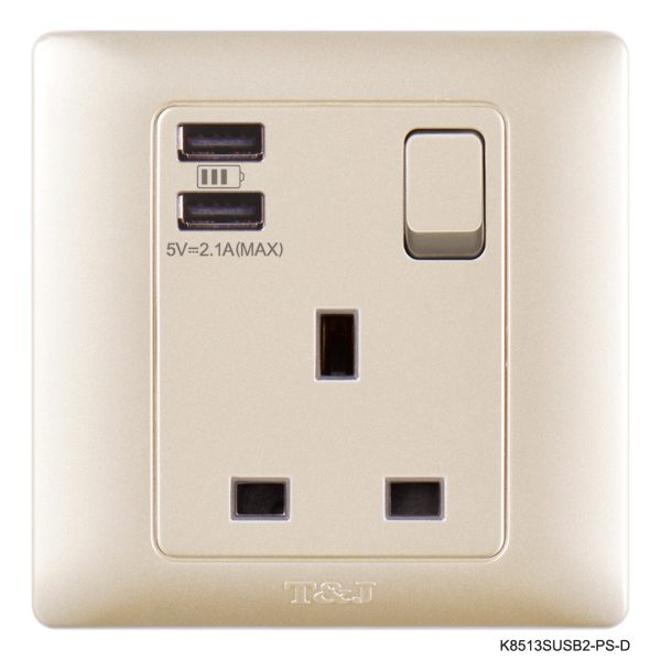 Normal Single sockets with 2 USB Ports - Champagne in Colour
