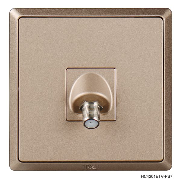 TV Socket - Champagne In Colour